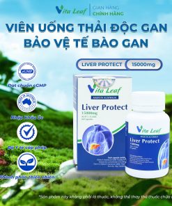 Combo liver-source of life (lá gan nguồn sống) (3 hộp)- Hỗ trợ Thải độc gan, bảo vệ và duy trì chức năng gan