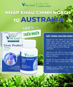 Combo liver-source of life (lá gan nguồn sống) (3 hộp)- Hỗ trợ Thải độc gan, bảo vệ và duy trì chức năng gan