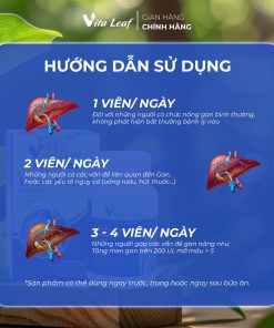 Combo liver-source of life (lá gan nguồn sống) (3 hộp)- Hỗ trợ Thải độc gan, bảo vệ và duy trì chức năng gan