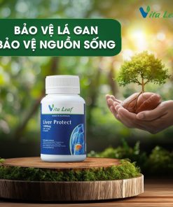 Combo liver-source of life (lá gan nguồn sống) (3 hộp)- Hỗ trợ Thải độc gan, bảo vệ và duy trì chức năng gan
