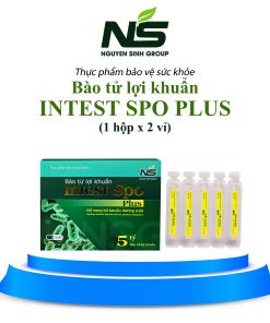 Thực phẩm bảo vệ sức khỏe bào tử lợi khuẩn Intest Spo Plus hỗ trợ tiêu hoá (hộp 2 vỉ)