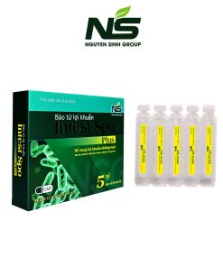 Thực phẩm bảo vệ sức khỏe bào tử lợi khuẩn Intest Spo Plus hỗ trợ tiêu hoá (hộp 2 vỉ)