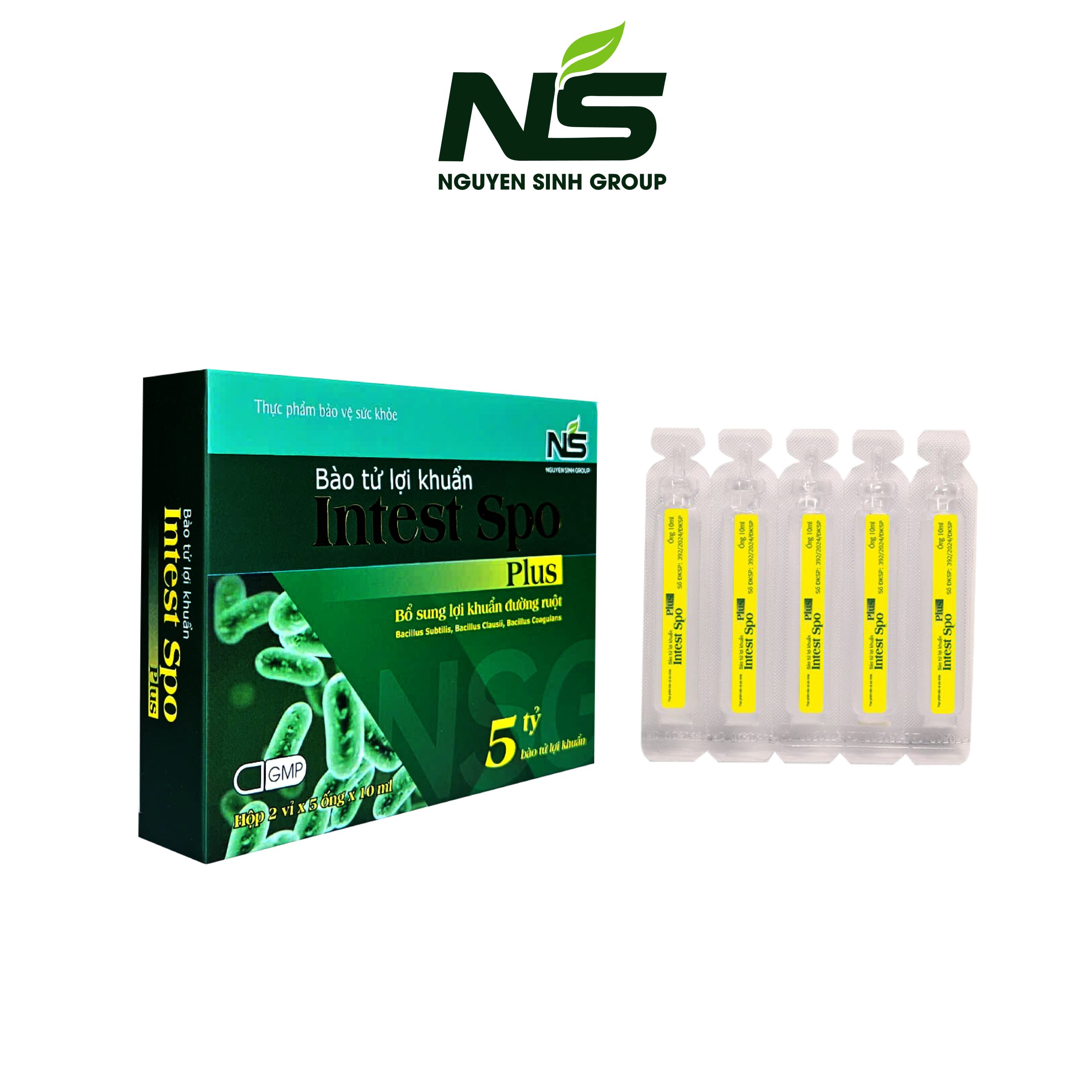 Thực phẩm bảo vệ sức khỏe bào tử lợi khuẩn Intest Spo Plus hỗ trợ tiêu hoá (hộp 2 vỉ)