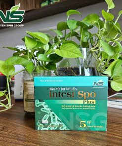 Thực phẩm bảo vệ sức khỏe bào tử lợi khuẩn Intest Spo Plus hỗ trợ tiêu hoá (hộp 2 vỉ)
