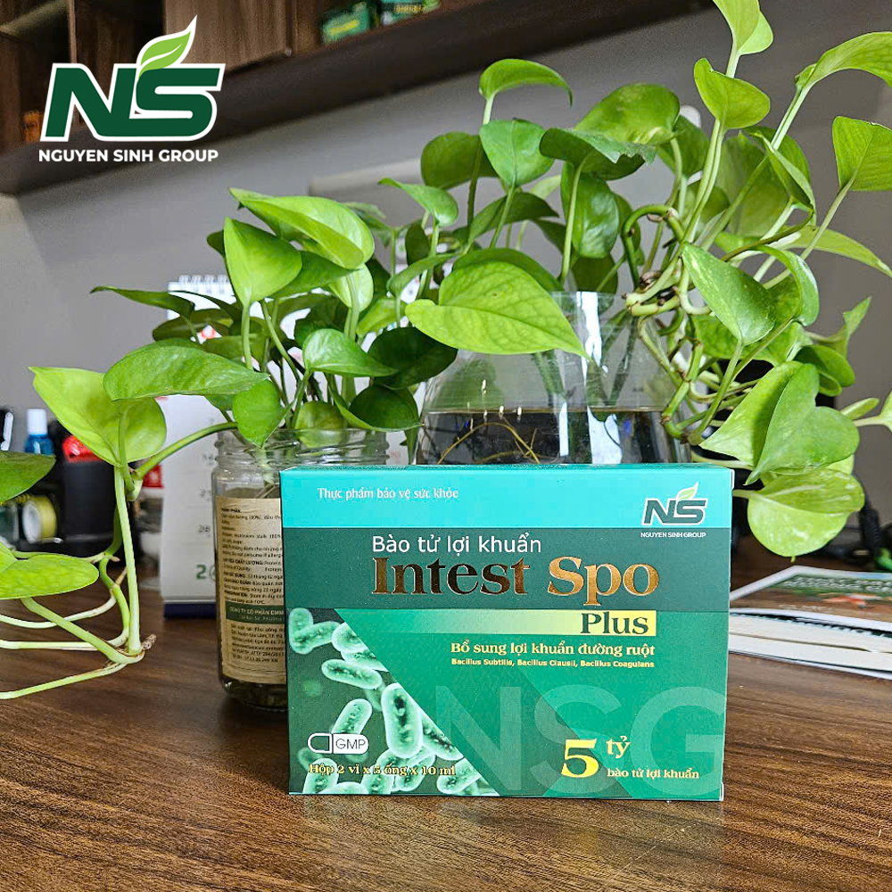 Thực phẩm bảo vệ sức khỏe bào tử lợi khuẩn Intest Spo Plus hỗ trợ tiêu hoá (hộp 2 vỉ)