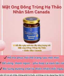 Mật ong đông trùng hạ thảo nhân sâm Canada (Hũ 240g)
