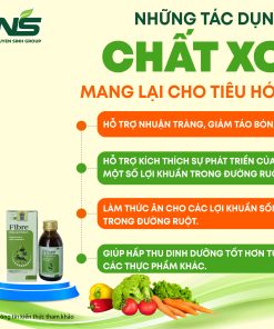 Thực phẩm bảo vệ sức khỏe Fibre Kids and Mum