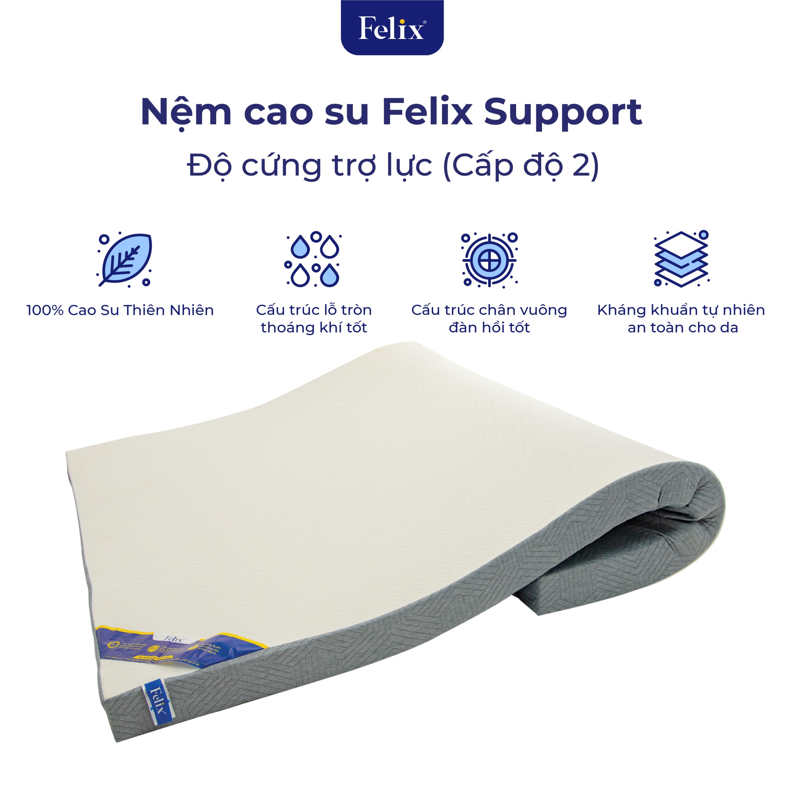 Combo giấc ngủ cột sống