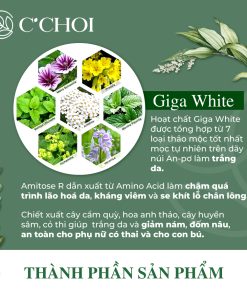 Lõi phấn nước C’Choi Herbal DD Cushion