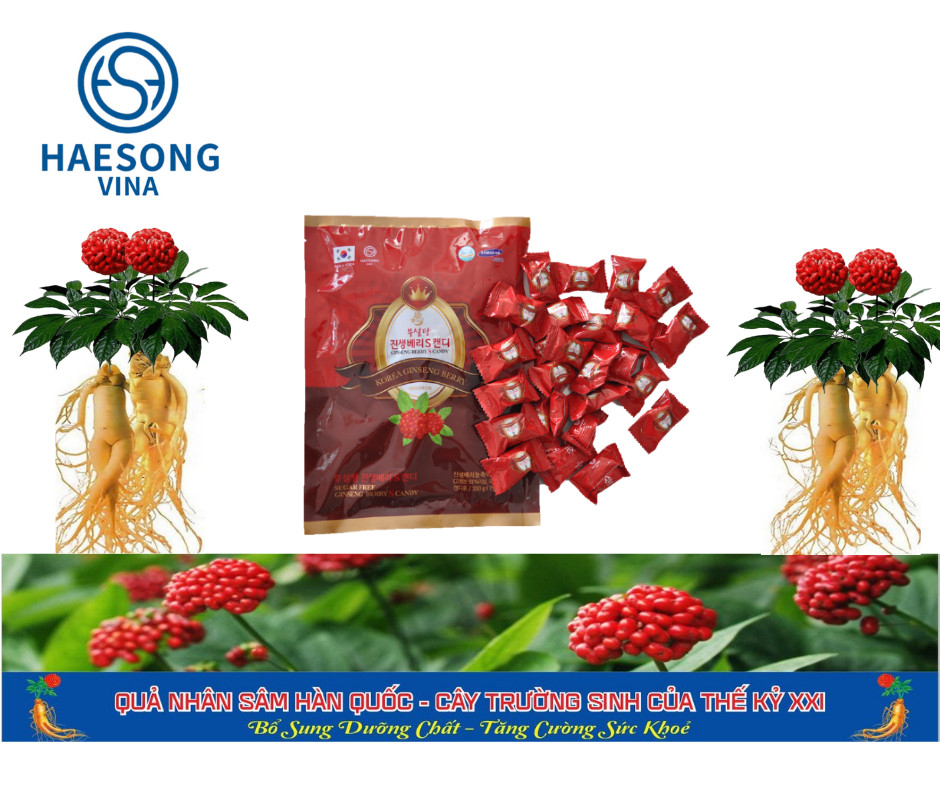 Kẹo Quả Sâm không đường Free Suger Ginseng Berry S candy 200g