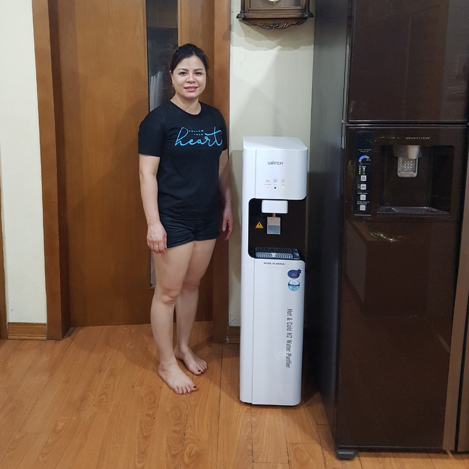 Máy lọc nước nóng lạnh RO Watek, model: WT-030S-RO