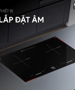 Bếp từ TRI 277