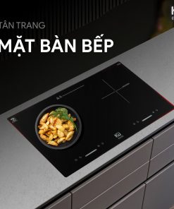Bếp từ TRI 277