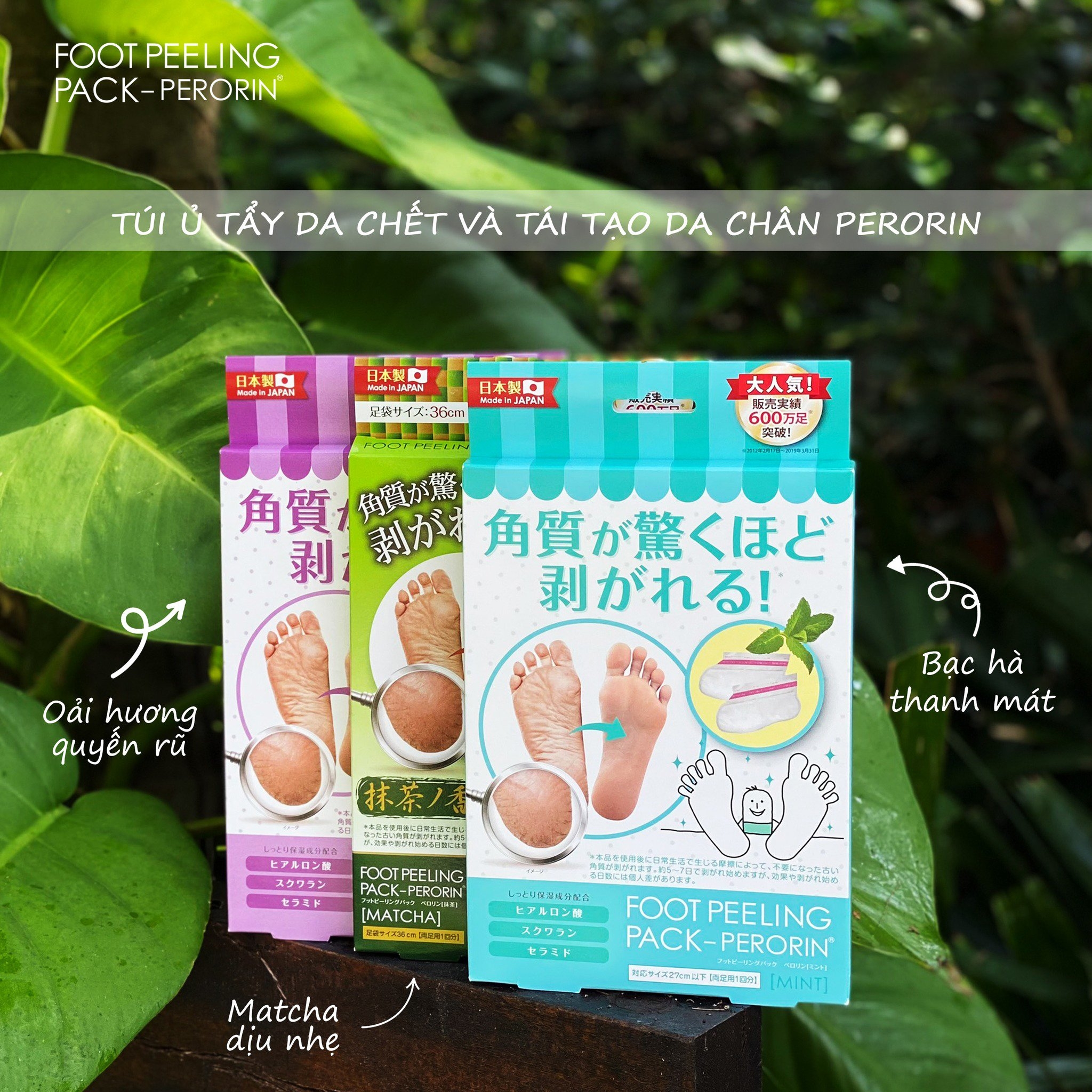 Túi ủ tẩy da chết và tái tạo da chân Perorin (Hộp 01 túi) Foot Peeling Pack – PERORIN
