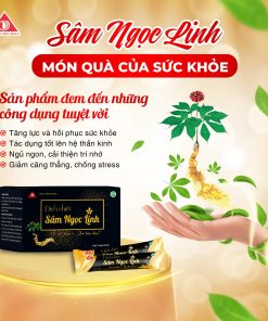 Dịch chiết Sâm Ngọc Linh hỗ trợ bồi bổ sức khỏe (15 gói/hộp)