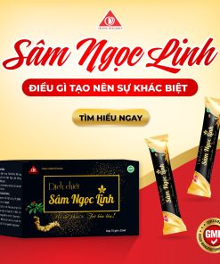 Dịch chiết Sâm Ngọc Linh hỗ trợ bồi bổ sức khỏe (15 gói/hộp)