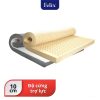 Nệm cao su FELIX Support – Độ cứng trợ lực (Cấp độ 2) – Độ dày nệm 10cm