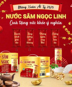 Vỏ hộp Sâm Ngọc Linh Trường Sinh – Đỏ (hộp 6 lon)