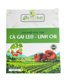 Cao khô hòa tan Cà gai leo – Linh chi
