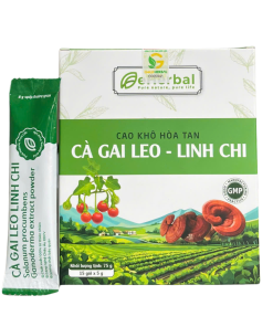 Cao khô hòa tan Cà gai leo – Linh chi