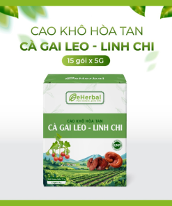 Cao khô hòa tan Cà gai leo – Linh chi
