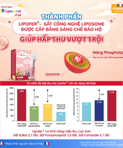 Thực phẩm bảo vệ sức khỏe VYPHYTOKID FER liposomé stick hỗ trợ bổ sung sắt cho cơ thể