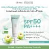 Kem Chống Nắng Vật Lý Thuần Chay Cho Da Dầu Mụn, Nhạy Cảm Dinsee Premium Vegan Mild Moist Sunscreen Spf50+ Pa++++